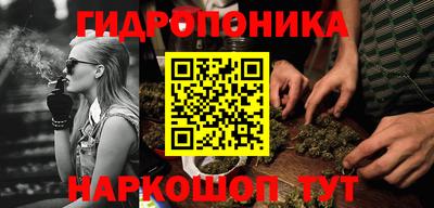 индика Комсомольск-на-Амуре