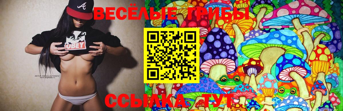 Галлюциногенные грибы прущие грибы Усолье-Сибирское