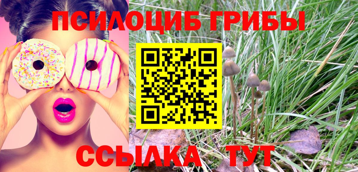 Галлюциногенные грибы мухоморы  Псилоцибиновые грибы Psilocybine cubensis  Вход с VPN  Усолье-Сибирское 